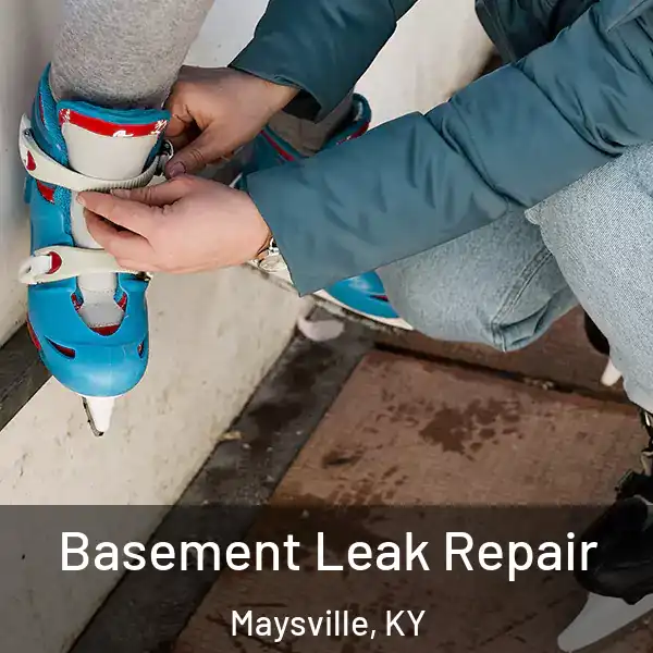  Basement Leak Repair Maysville, KY