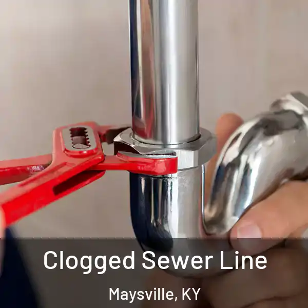  Clogged Sewer Line Maysville, KY