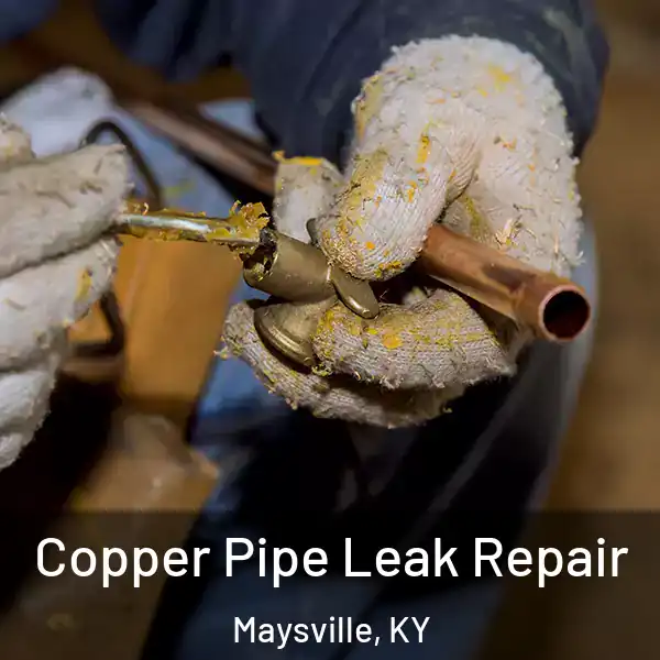  Copper Pipe Leak Repair Maysville, KY