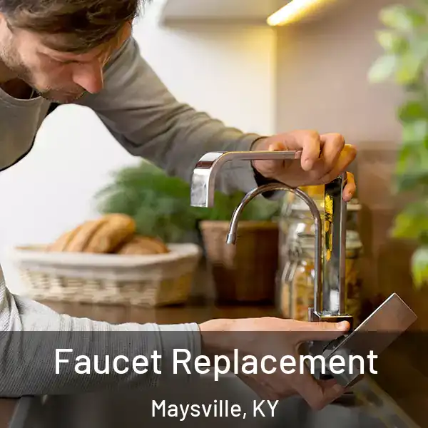 Faucet Replacement Maysville, KY