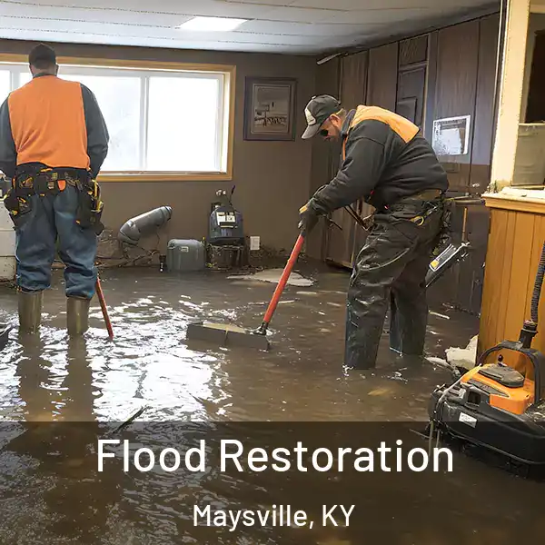  Flood Restoration Maysville, KY