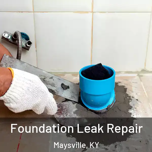  Foundation Leak Repair Maysville, KY