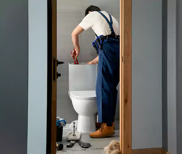 Professional Plumbers for Toilet Bowl Replacement in Maysville, KY: Schedule Affordable Toilet Replacement Services With Us