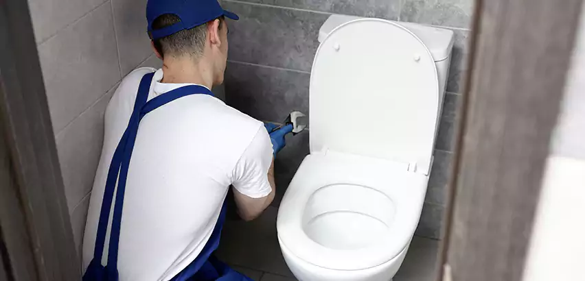 Toilet Lid Replacement in Maysville