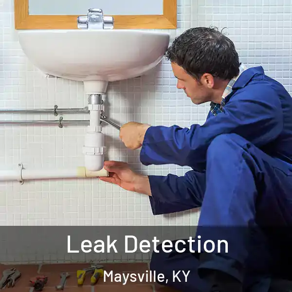  Leak Detection Maysville, KY