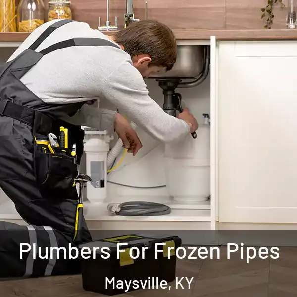  Plumbers For Frozen Pipes Maysville, KY