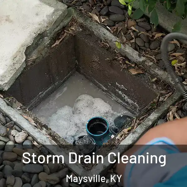  Storm Drain Cleaning Maysville, KY
