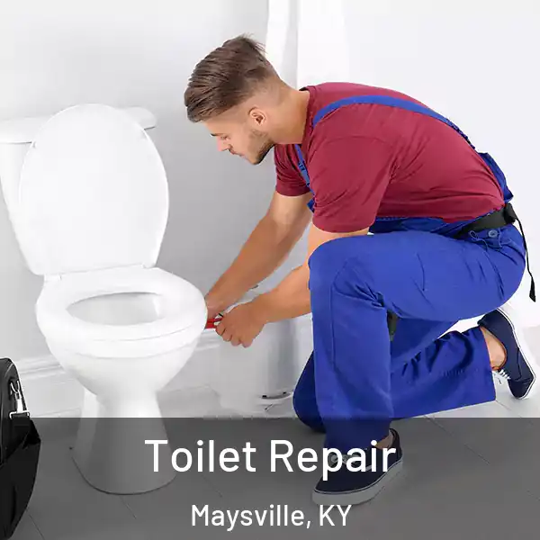  Toilet Repair Maysville, KY