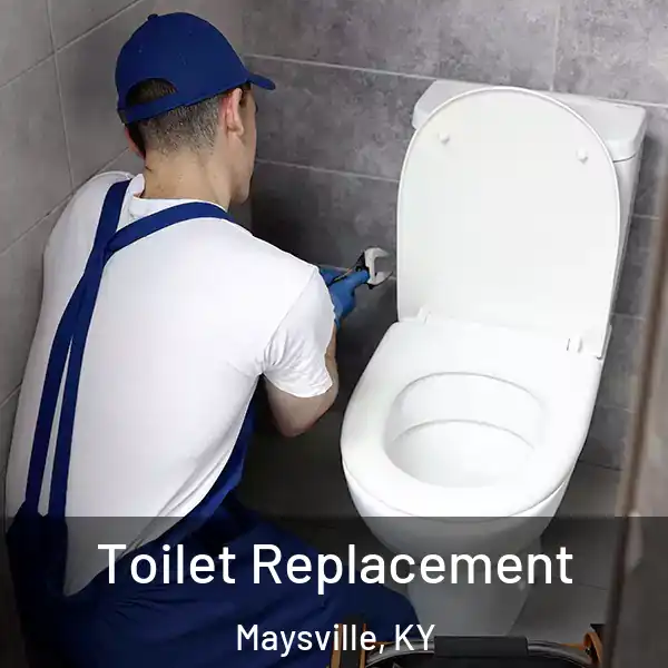  Toilet Replacement Maysville, KY