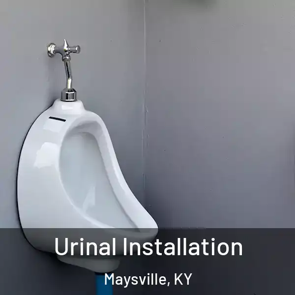  Urinal Installation Maysville, KY