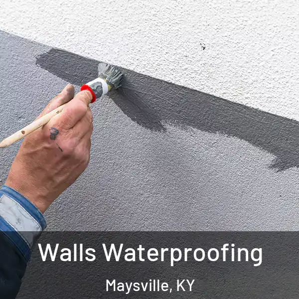  Walls Waterproofing Maysville, KY