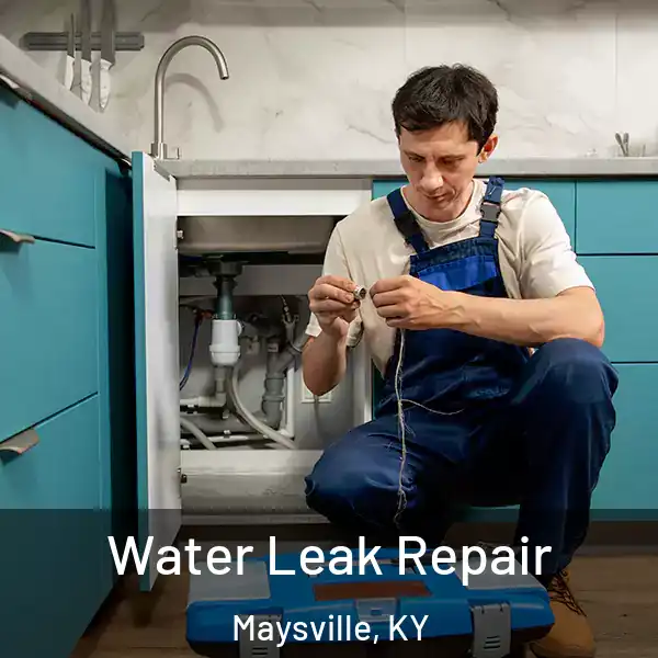 Water Leak Repair Maysville, KY